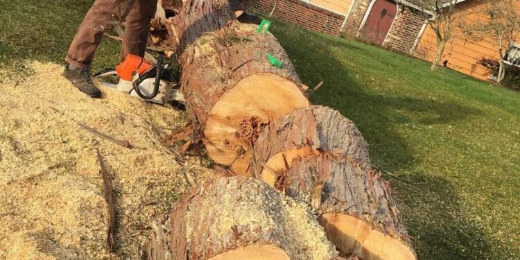 Storm Clean Up Services | Emergency Storm Tree Service Near Me