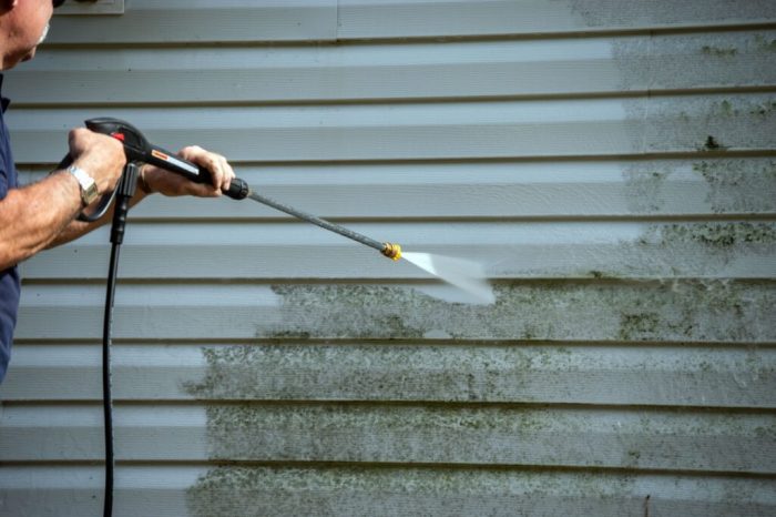 Vinyl Siding Cleaning Services by Vesta Wash - Vesta Wash