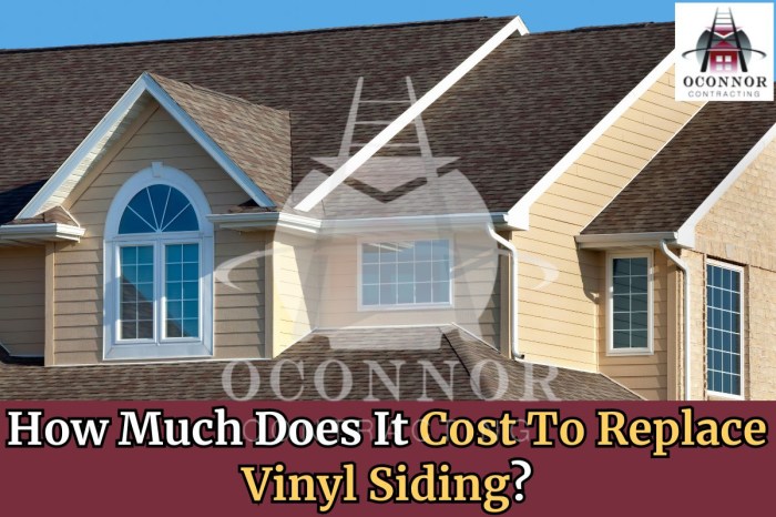 How Much Does It Cost To Replace Vinyl Siding?