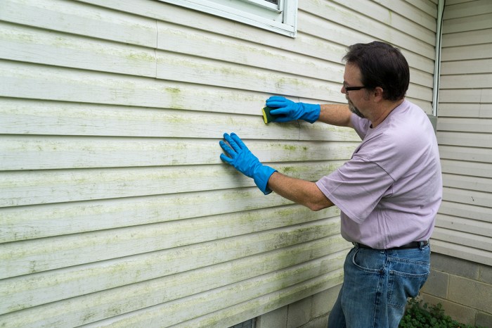 How to Clean and Maintain Your Vinyl Siding