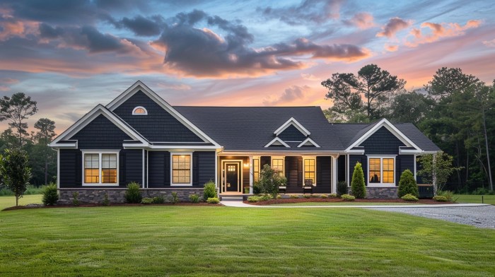 Discover the Allure of a Black Siding House