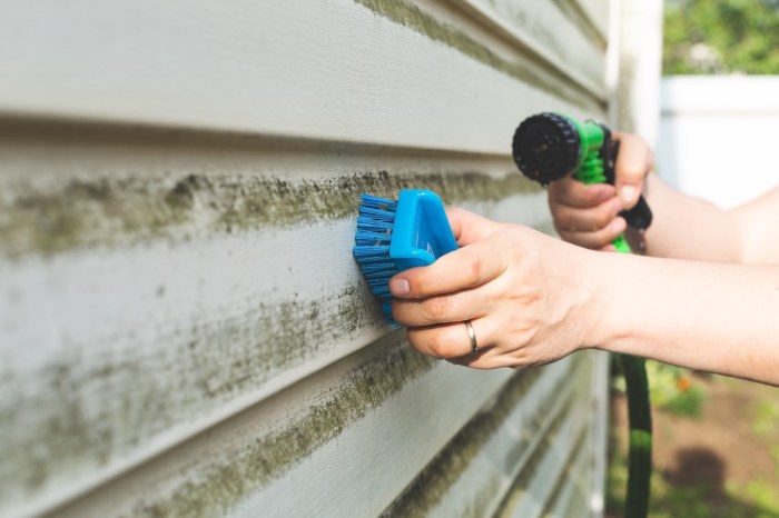Vinyl Siding Cleaning Ottawa | Peak Property